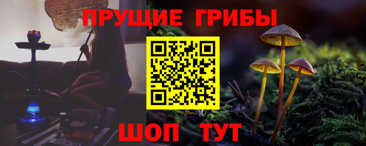 Галлюциногенные грибы Psilocybine cubensis  Вход с VPN  наркошоп  Коркино  Псилоцибиновые грибы мухоморы 